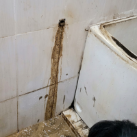 Lumpur tebal hasil endapan bertahun-tahun yang keluar dari dalam pipa air bersih